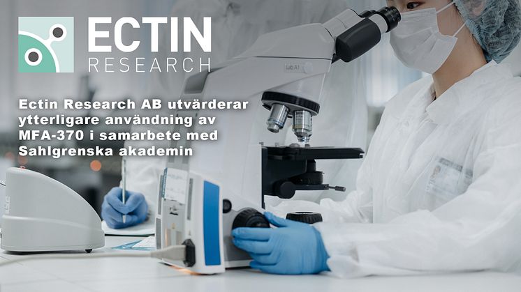 Ectin Research AB utvärderar ytterligare användning av MFA-370 i samarbete med Sahlgrenska akademin