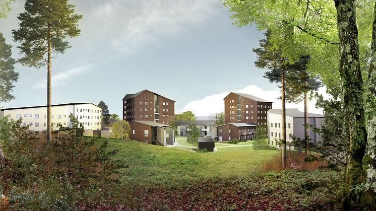 Nya student- och forskarbostäder i Luleå när Akademiska Hus säljer mark till Lindbäcks 