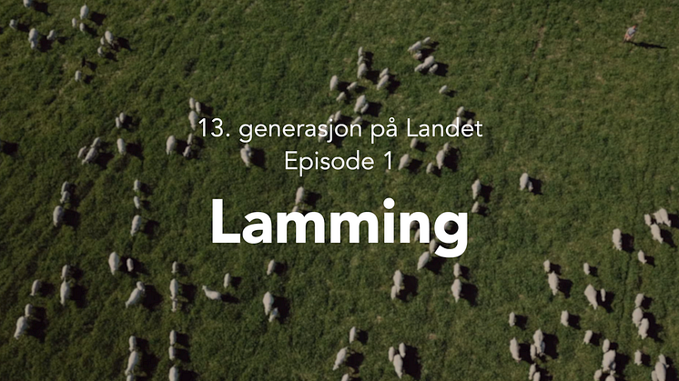 Gjennom tre filmer følger vi beitesesongen på Landet gård i Østerdalen, hvor uroen for rovviltangrep preger bonden. 