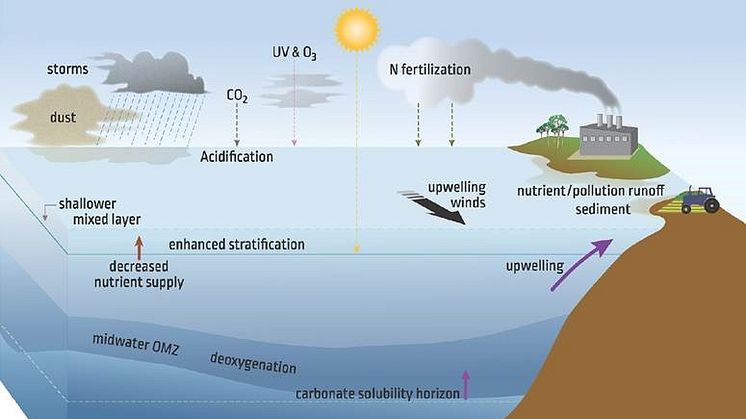 Figure: Boyd et al, Global change biology 24 (6), 2239-2261 (2018)