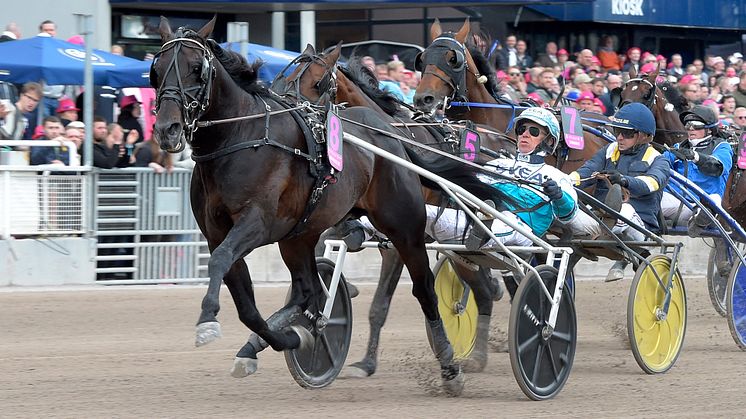 2021 spurtade han förbi samtliga konkurrenter och vann finalen – nu jagar han ytterligare en seger. Foto: TR Bild