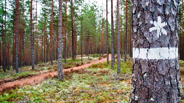 Invånarna i Hammarö har närmast till skyddad natur i Värmland