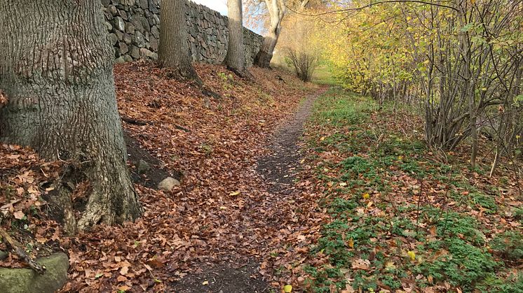 Den gamla skjutvallen i Skytteskogen hägnas in