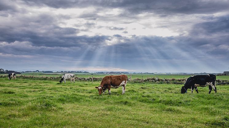 Klimakalkulatoren er et viktig steg på veien til å kutte utslipp og binde karbon i norsk landbruk.