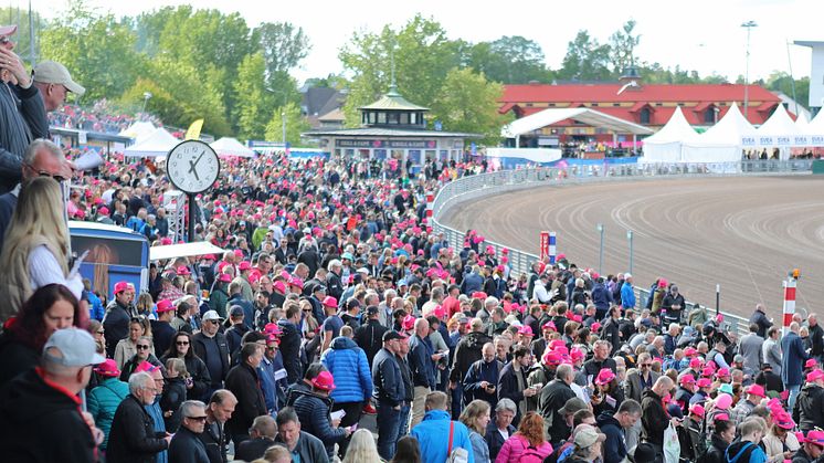 Spännande sportspel till Elitloppet