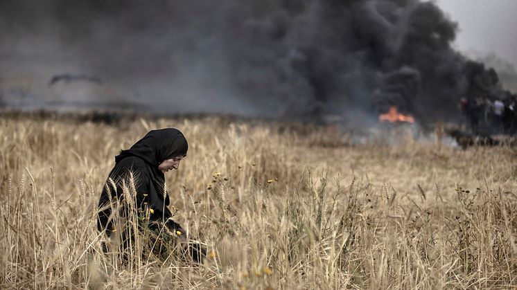 Bild: Bildjournalisten Paul Hansen från Gaza 