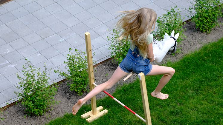 Kæphesteridning hitter på rideskoler landet over