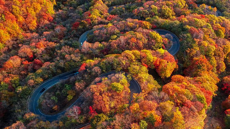 Irohazaka Road in Nikko is a must visit for cyclists