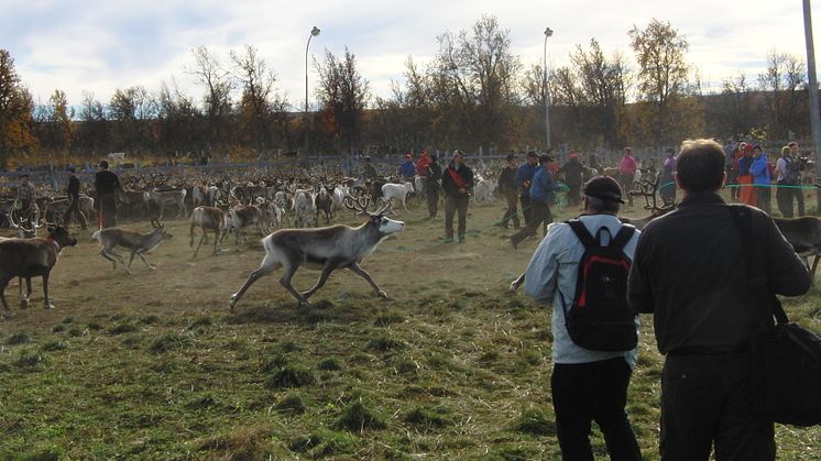 100 mil på 3 dagar för tyska journalister på besök i Gold of Lapland