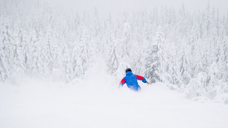 Över 135 cm nysnö i Åre, Sälen, Vemdalen, Trysil och Hemsedal