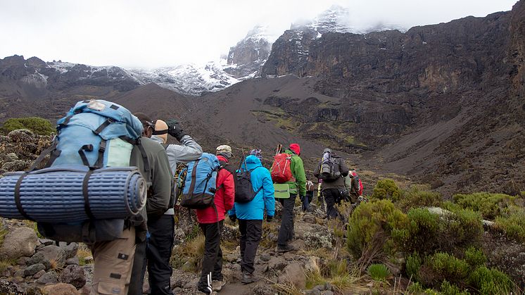 Kilimanjaro- Foto: Shutterstock