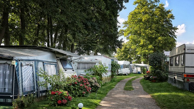 Der Weg zur kleinen Badestelle bei Blütencamping Riegelspitze im Havelland. Foto: Blütencamping Riegelspitze. 