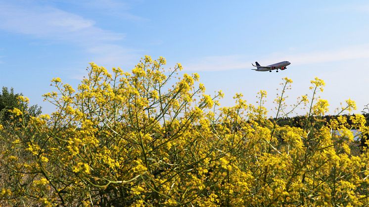 Swedavias flygpassagerarstatistik för juni 2018 illustreras med bild av flygplan vid Stockholm Arlanda Airport. Fotograf Alexandra Maritz.