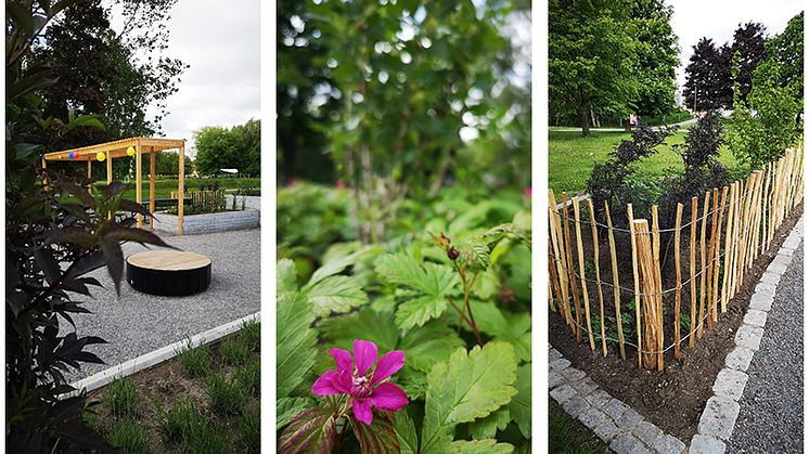 Invigning av Höglundaparkens köksträdgård – en ätbar del av parken