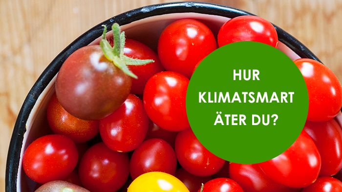 Bidra till en bättre miljö – ät vegetariskt under en vecka