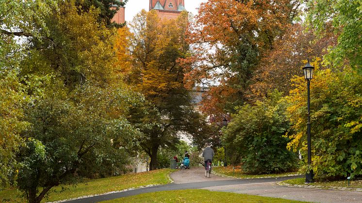 Universitetsparken i Uppsala är till salu för 20 000 kronor
