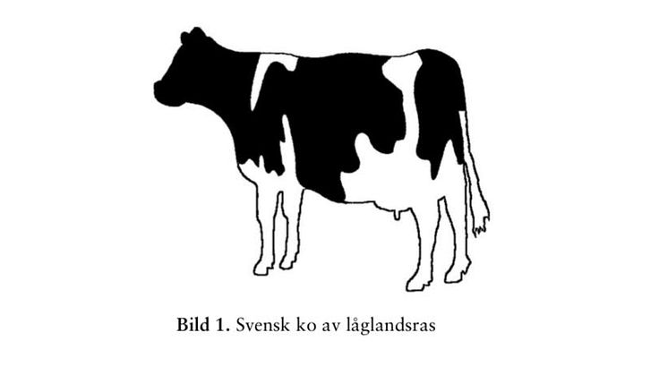  Om inte anekdotens klimatolog bryr sig om att leta efter annorlunda tecknade kossor kommer han aldrig att kunna ta sig ur villfarelsen att alla svenska kor är svart vita.