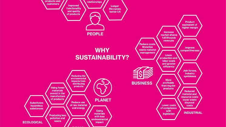 Infografik: Why sustainability?