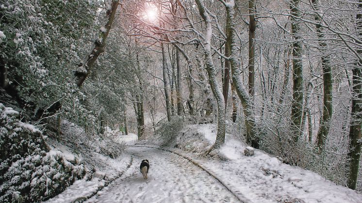 ‘Tis the season to get your official 2018 Bury calendar