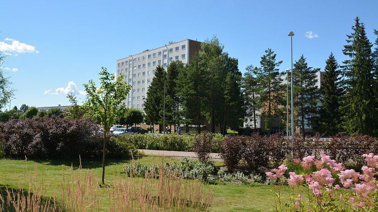 Sommerdag på Stovner. Foto: Sarah Frederikke Pierstorff, Oslo Kommune