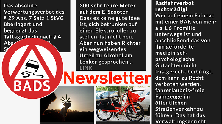 Zweiter BADS-Newsletter abrufbar