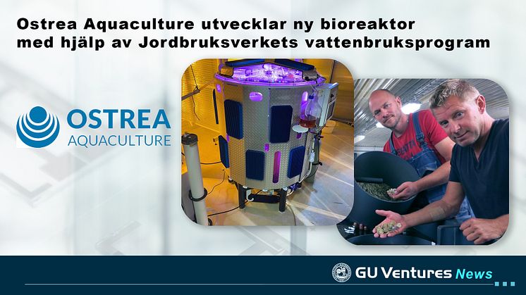 Ostrea Aquaculture utvecklar ny bioreaktor  med hjälp av Jordbruksverkets vattenbruksprogram