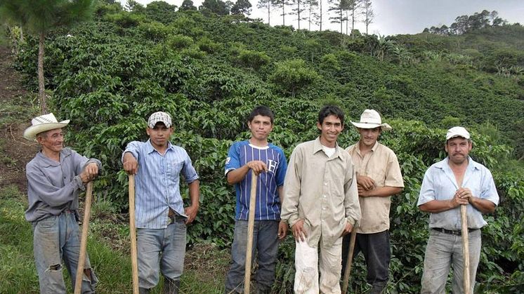 SPP investerar i omställning till hållbart jordbruk i Latinamerika