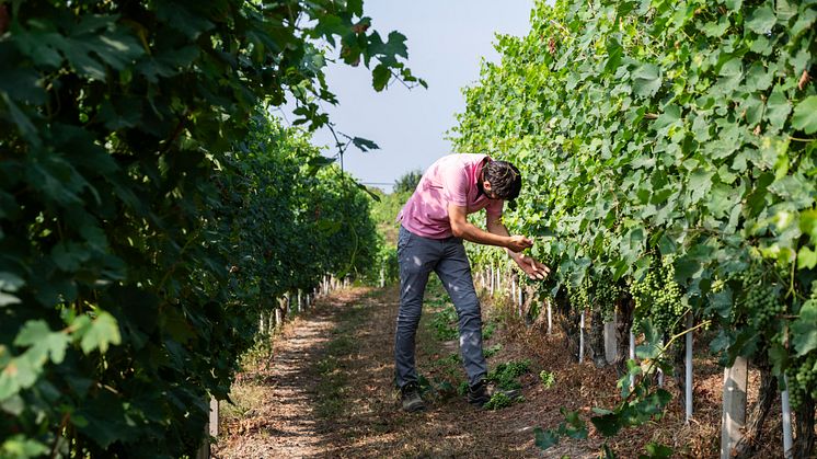 mauro-molino-il-nostro-lavoro-13