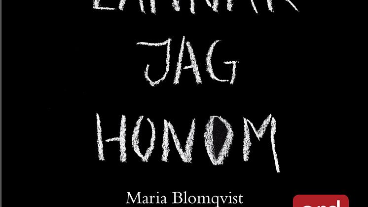 "En vacker dag lämnar jag honom" har väckt starka reaktioner. Boken används nu av Kvinnojouren Klara