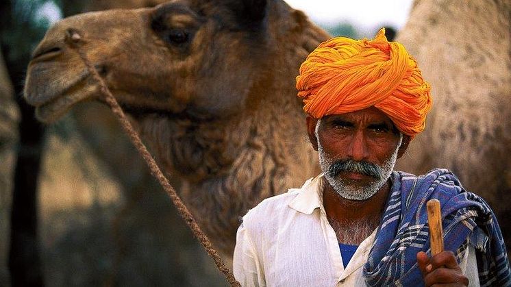 Kamelherde, Rajastan, Indien, 1993. Foto: Felix Oppenheim
