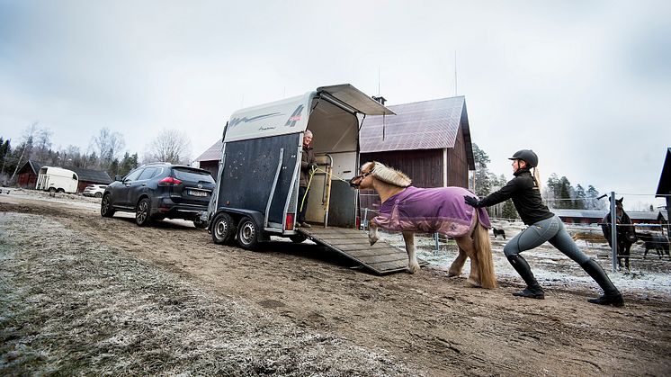 Egen hästtransport ger trygghet och utveckling