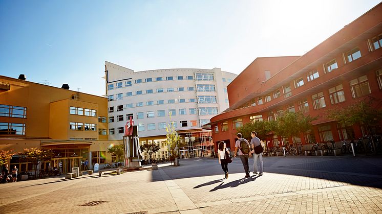 De sju yrkeshögskoleutbildningarna, varav tre är helt nya på JU, startar i höst.