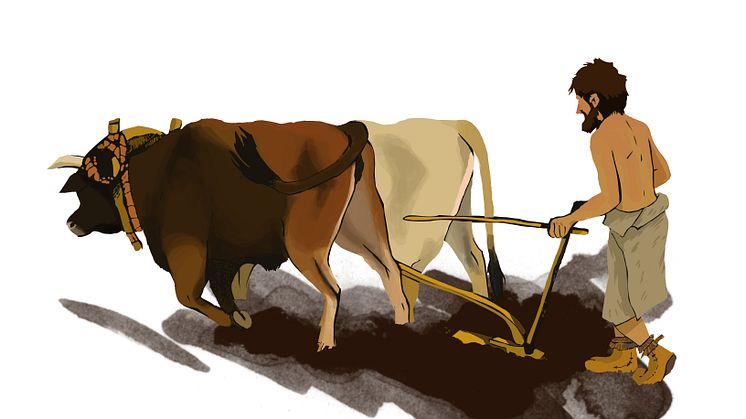 Artistisk tolkning av en iberisk neolitisk jordbrukare.  Illustration: Maria de la Fuente (Maria de la Fuente Archaeological Illustrations)