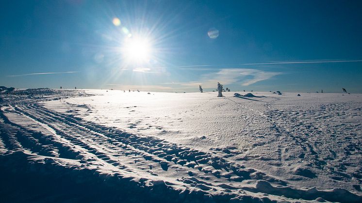 Vattenkraft och lågkonjunktur håller ner de rörliga elpriserna