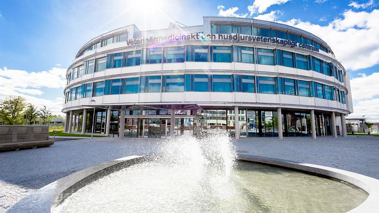 SLU inviger VHC och nya Universitetsdjursjukhuset 10/9