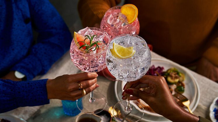 Malfy Gin X LILLET Festive Gintonica Ideas