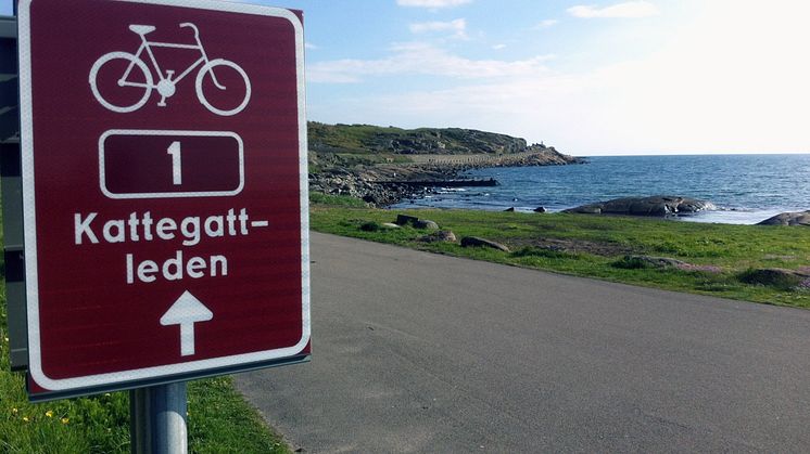 Sveriges första nationella cykelled invigs i Ängelholm 
