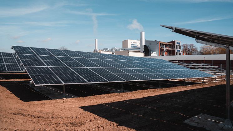Der neue Solarpark auf dem Firmengelände von Interquell Petfood