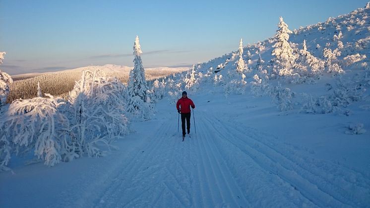 Att bo i fjällen har sina fördelar. 