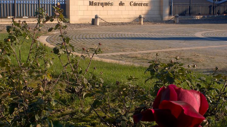 Marqués de Cáceres moderna anläggning i Rioja