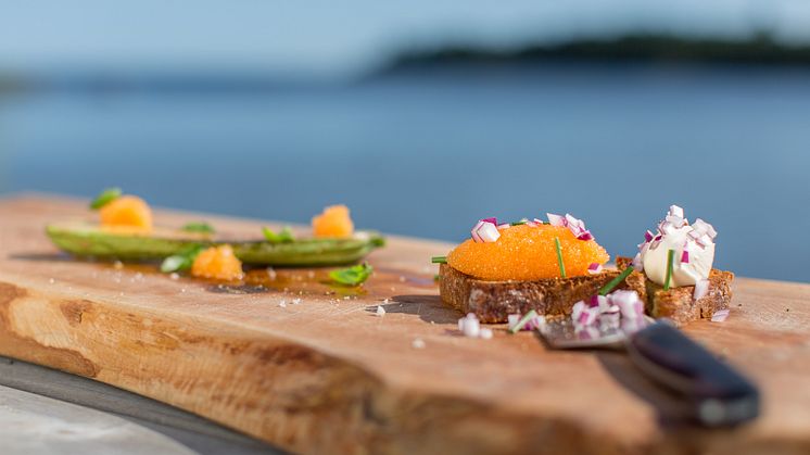 Löjrommens dag i Spikens Fiskehamn 2/11