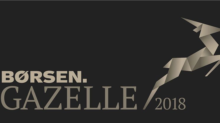 12 virksomheder fra Rebild Kommune er i 2018 kåret som gazeller af dagbladet Børsen.