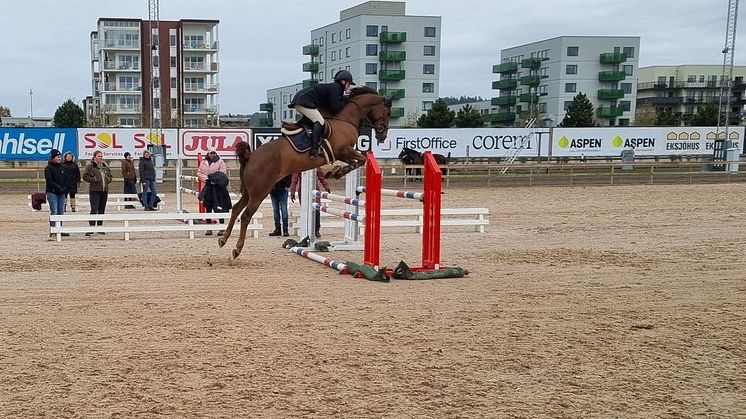 Hoppning med unghästar 4, 5 och 6-åringar.