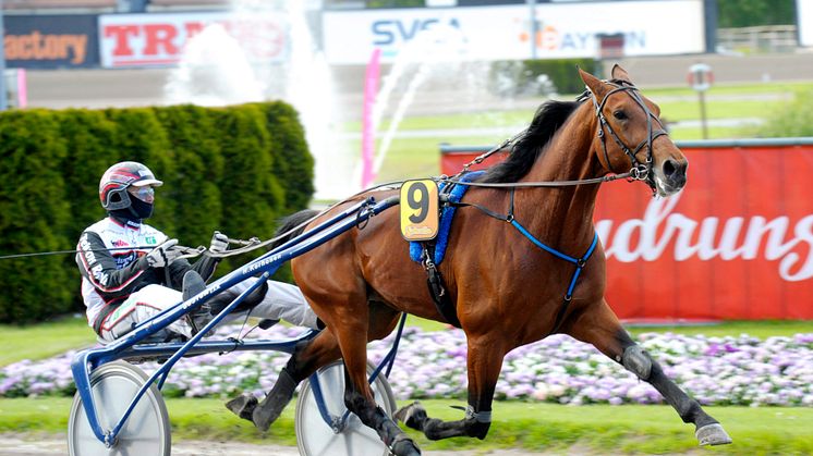 Victory Bonsai får ett wild card till Jubileumspokalen