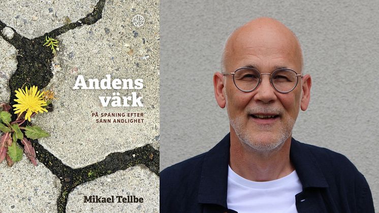 Andens värk