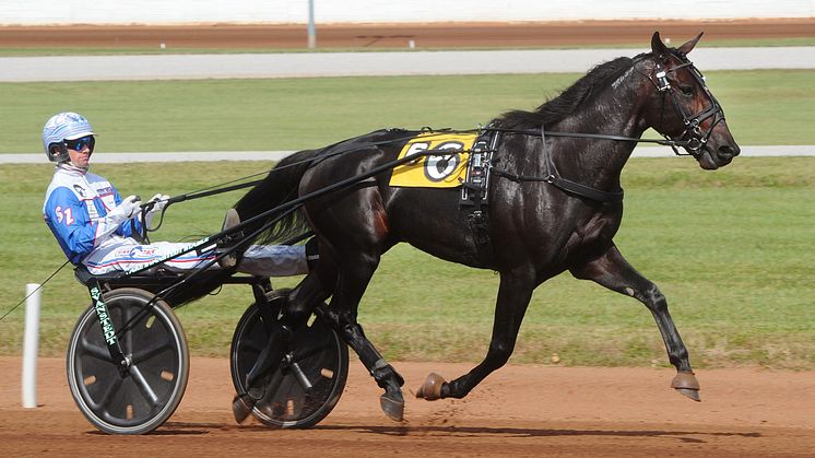 Amerikanen Back Of The Neck är inbjuden till Elitloppet 2022. Foto: Stall TZ. 