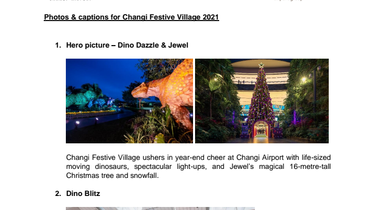 Photo captions for Changi Festive Village 2021.pdf