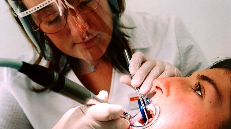 Bissfest: Die Zahnzusatzversicherung von SIGNAL IDUNA gefiel auch Morgen & Morgen. Foto: SIGNAL IDUNA