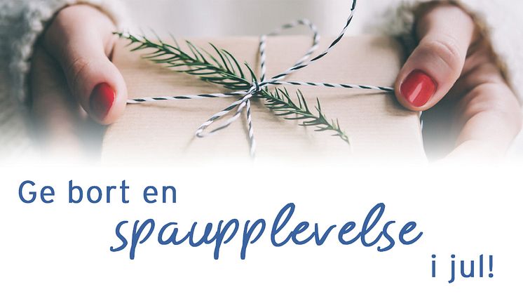 Ge bort en spaupplevelse i jul!