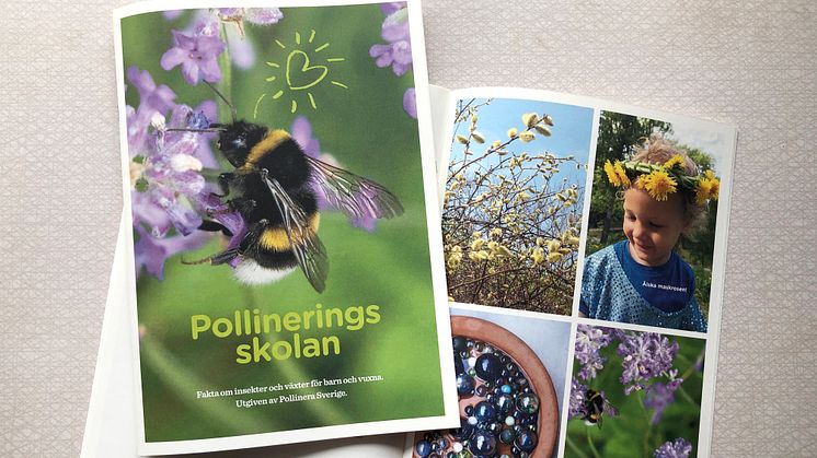 Pollineringsskolan berättar om samarbetet mellan växterna och insekterna.